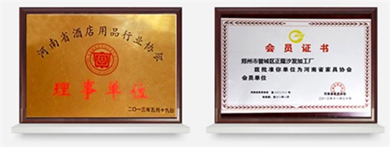 正隆足浴沙發